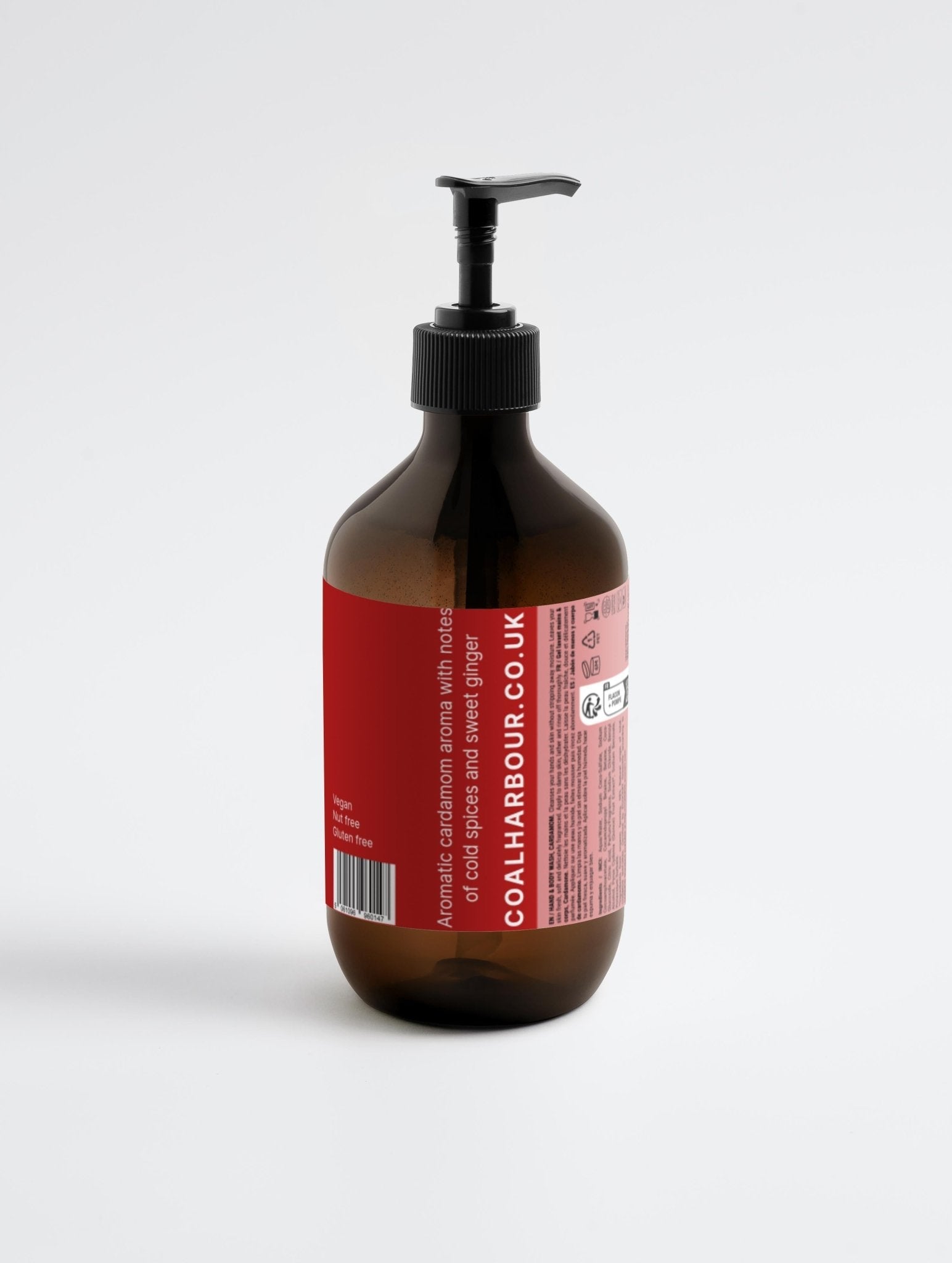 Hand and Body Wash Ginger and Smoky Cardamom 490ml