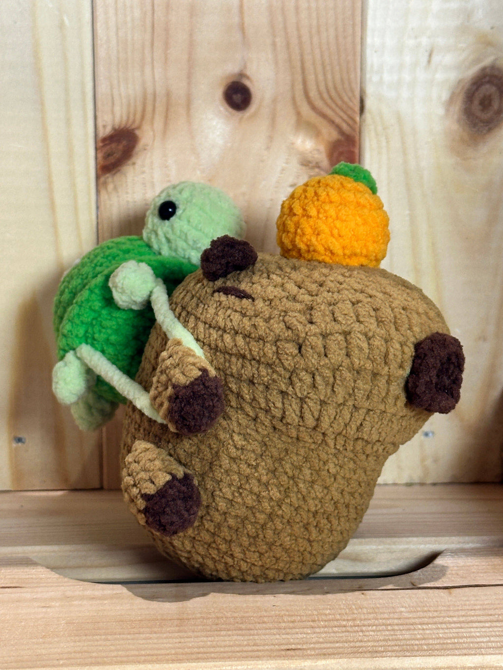 Capybara with Green Turtle Plush Toy