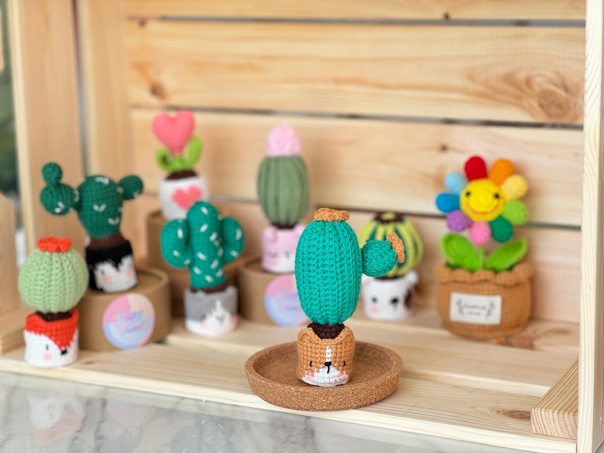 Handmade Crochet Cactus Family Collection Five New Friends