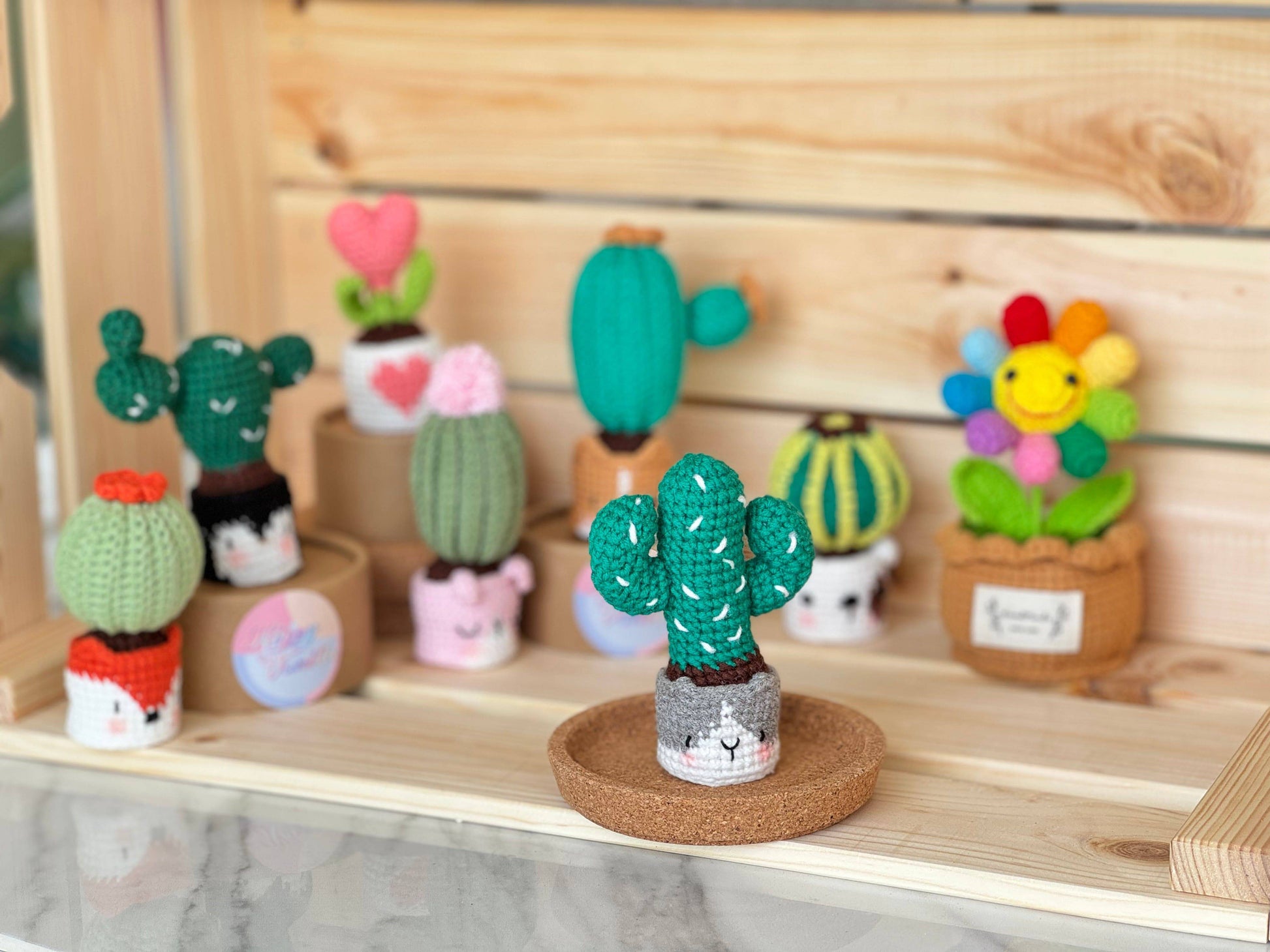 Handmade Crochet Cactus Family Collection Five New Friends