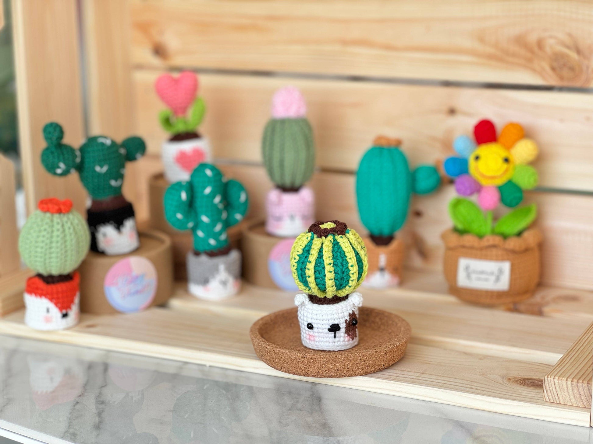 Handmade Crochet Cactus Family Collection Five New Friends