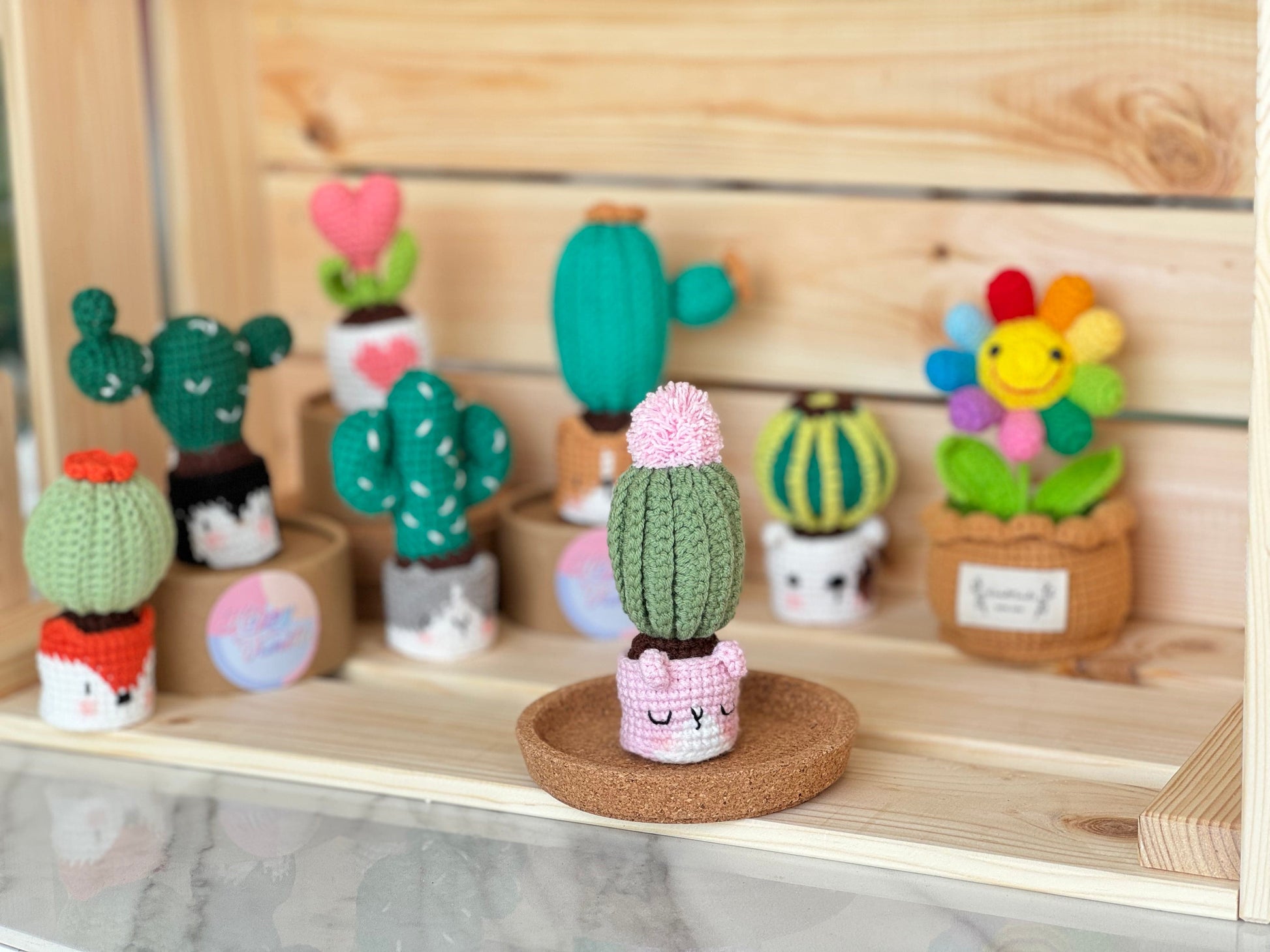 Handmade Crochet Cactus Family Collection Five New Friends