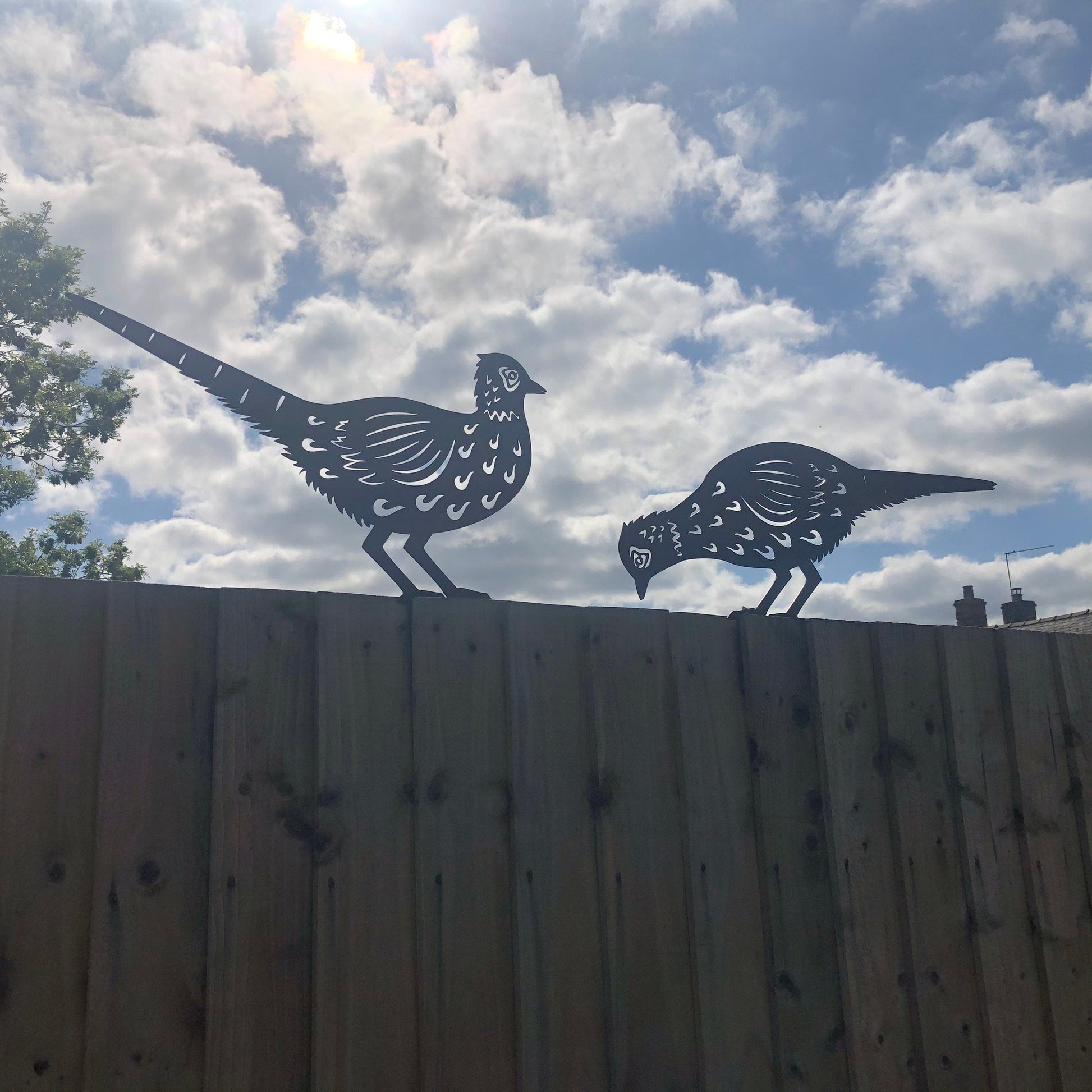 Pair of Rusty Metal Pheasants Garden Sculptures