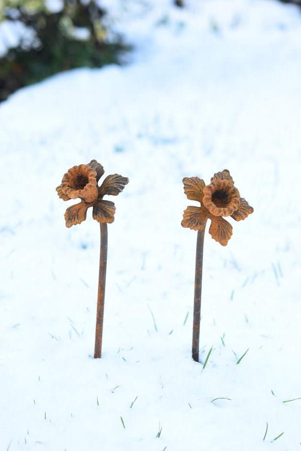 Rusty Metal Daffodil Flower