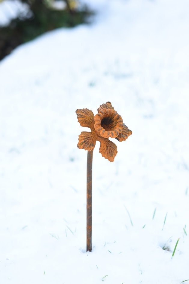 Rusty Metal Daffodil Flower