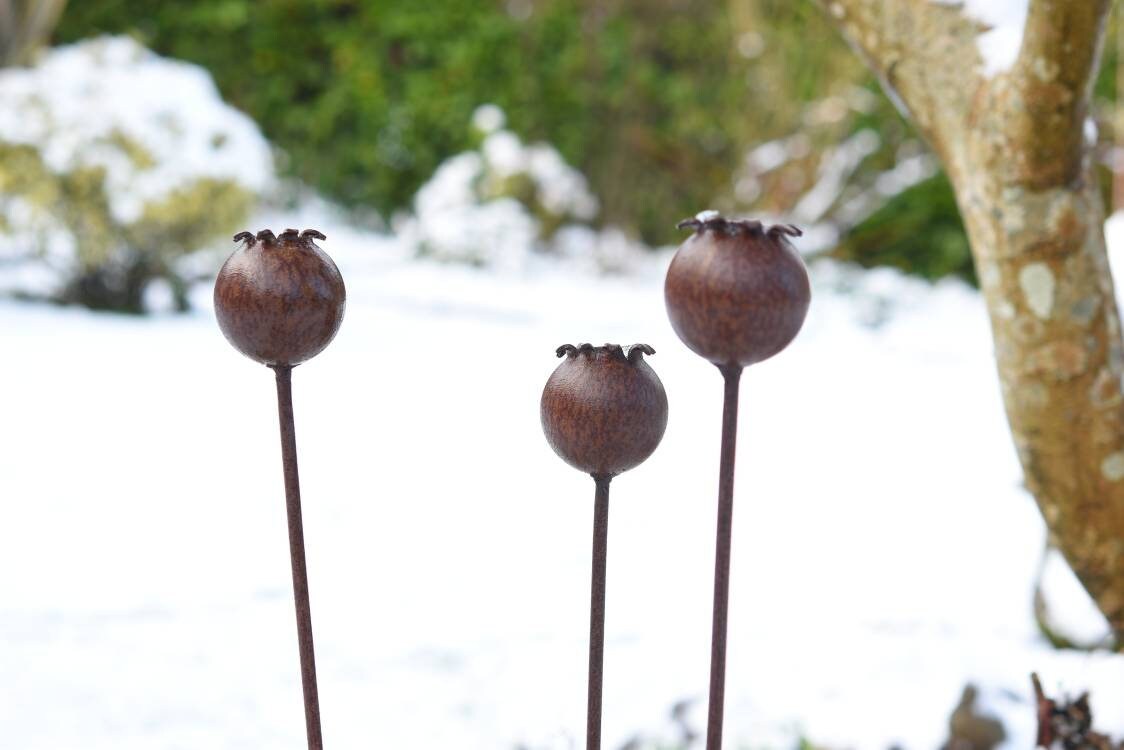Rusty Metal Poppy Seedhead