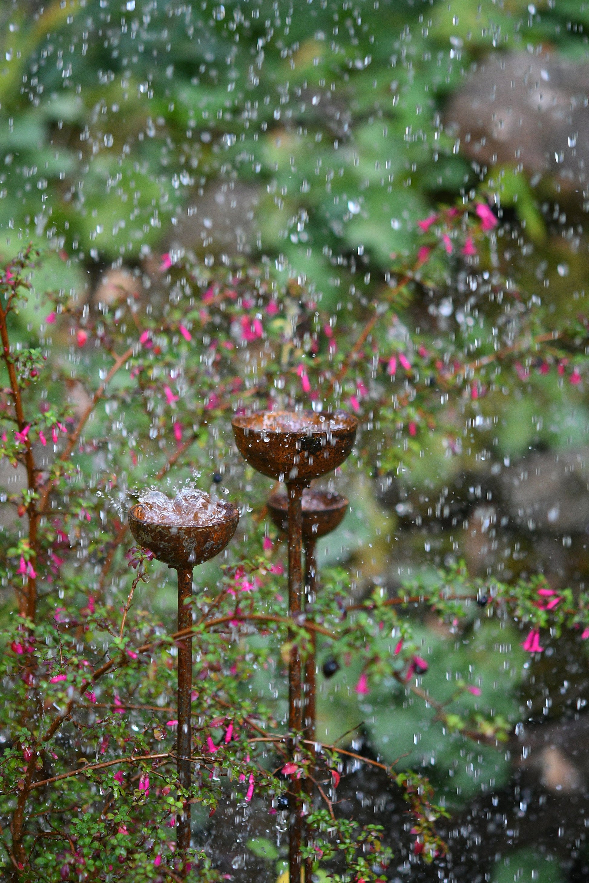 Small Rain Catcher Trio