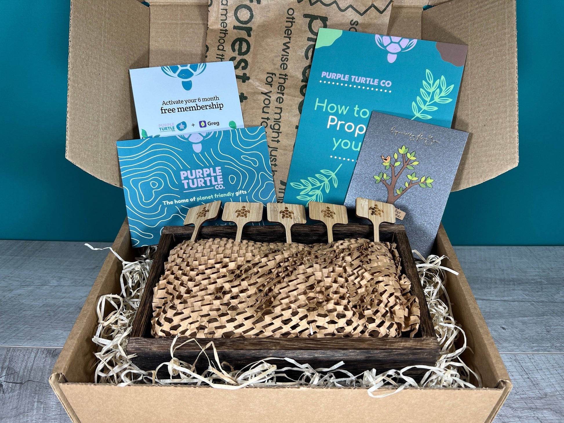 Plant Propagation Gift Set for Home Gardeners