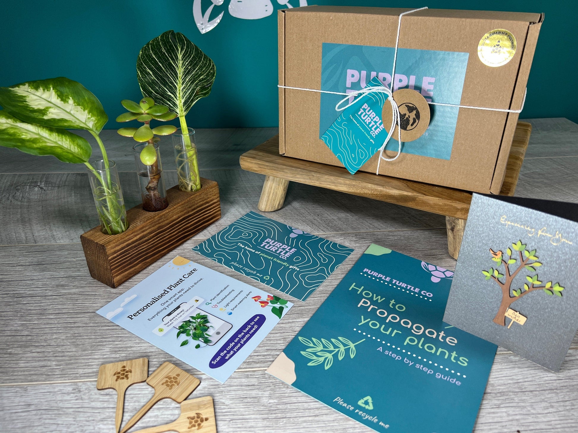 Plant Propagation Gift Set for Indoor Growing