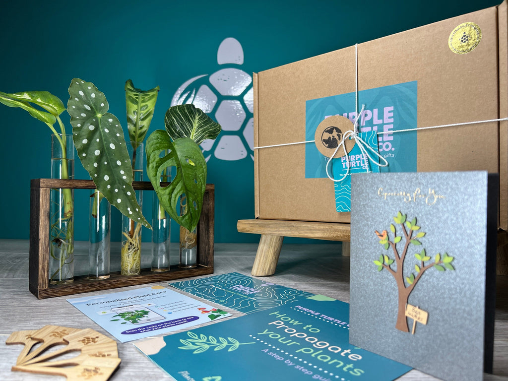 Plant Propagation Gift Set for Home Gardeners