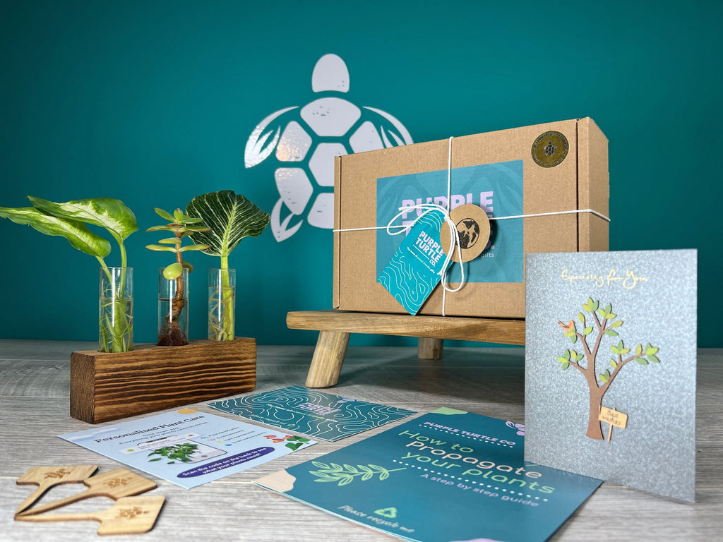 Plant Propagation Gift Set for Indoor Growing