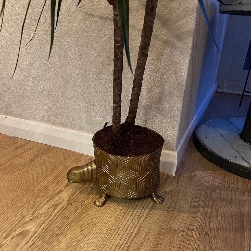 Tortoise Brass Metal Planter Pot for Succulents and Indoor Plants
