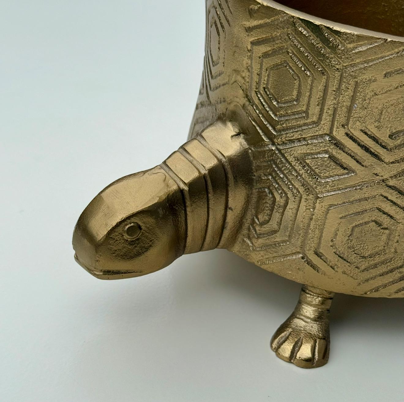Tortoise Brass Metal Planter Pot for Succulents and Indoor Plants