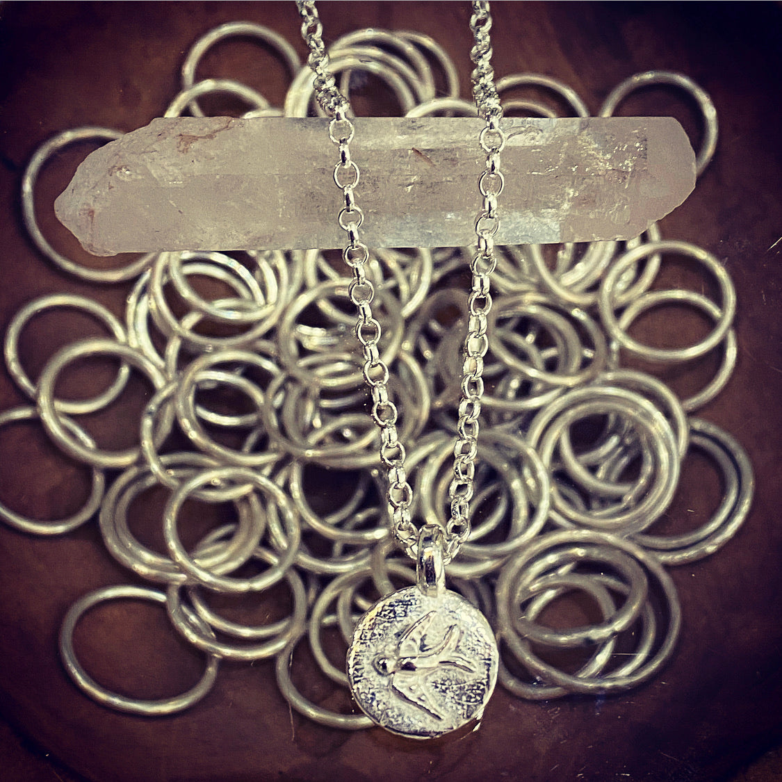 Sterling Silver Swallow Disc Necklace