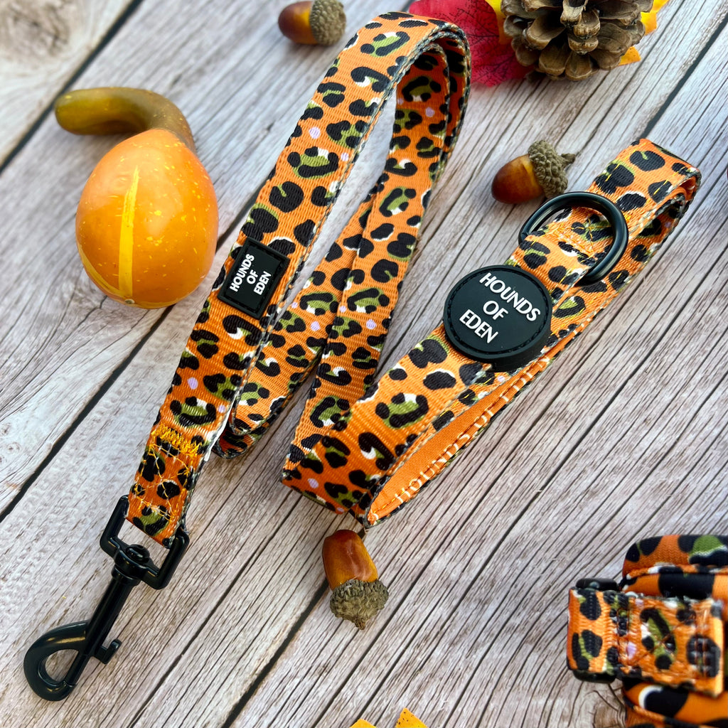 Burnt Orange Leopard Dog Harness with Extended Fit