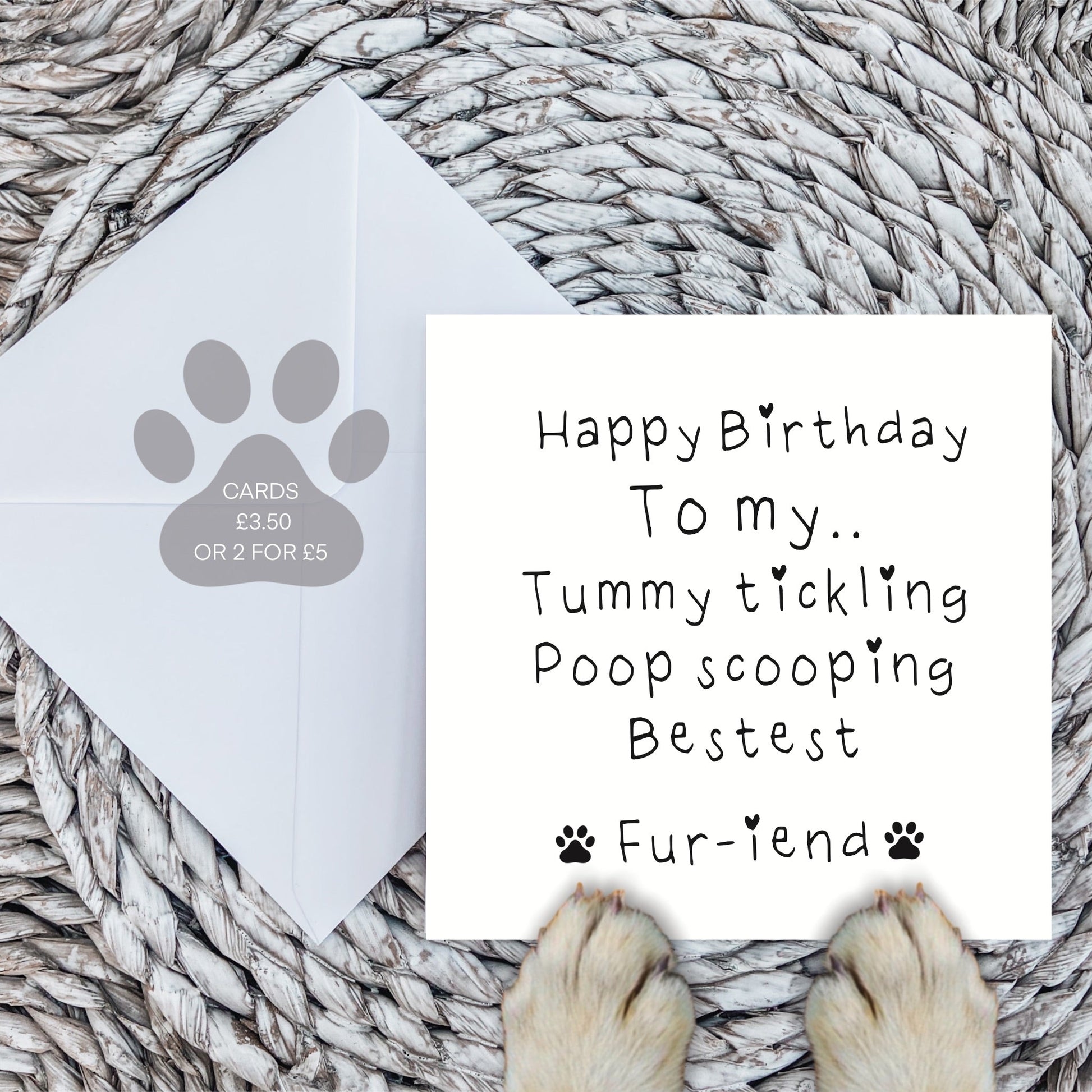 Tummy Tickling Poop Scooping Bestie Birthday Card for Pet Lovers