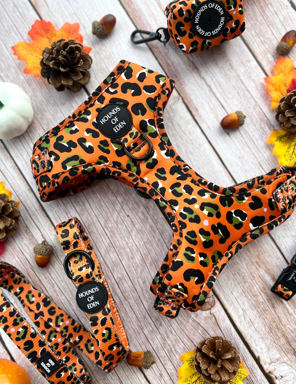 Burnt Orange Leopard Dog Harness with Extended Fit