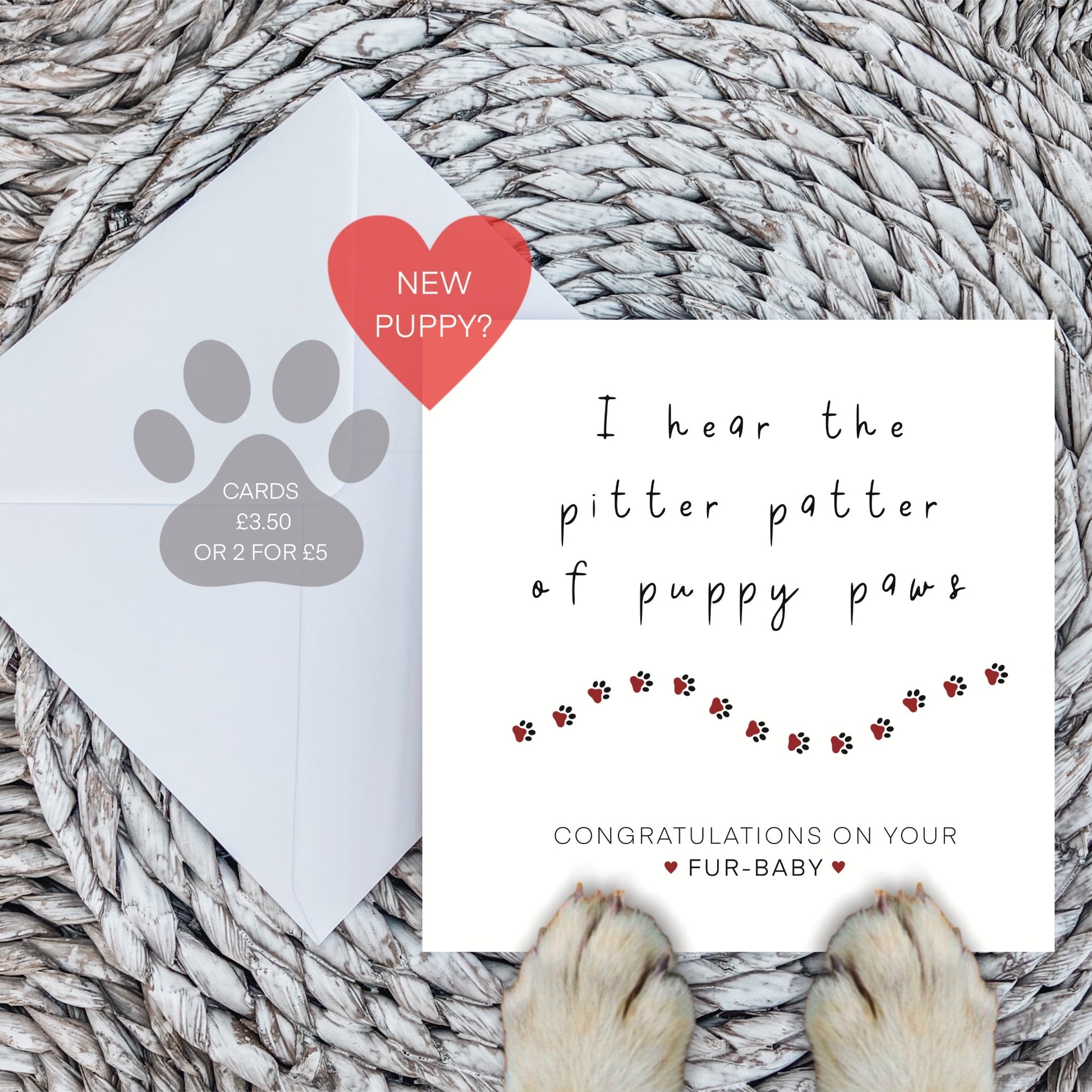 New Puppy Congratulations Card