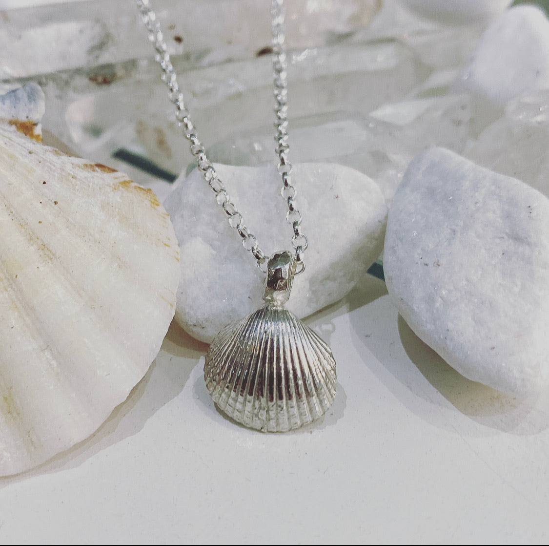 Lucky Charm Shell Necklace in Sterling Silver