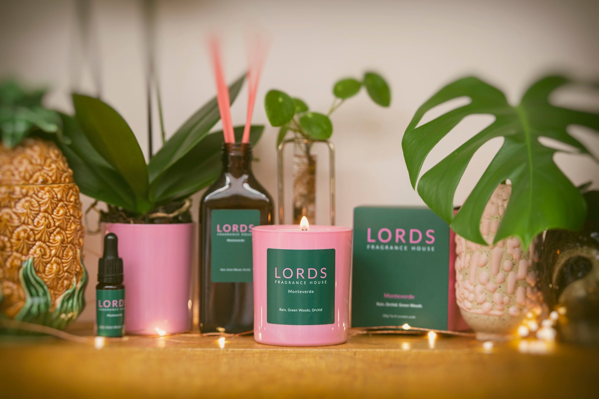 Monteverde Cloud Forest Candle