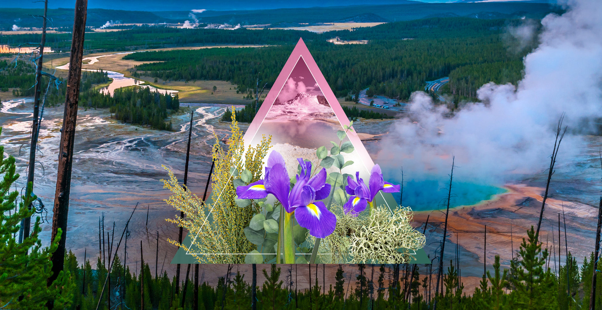 Yellowstone Fragrance Oil 10ml