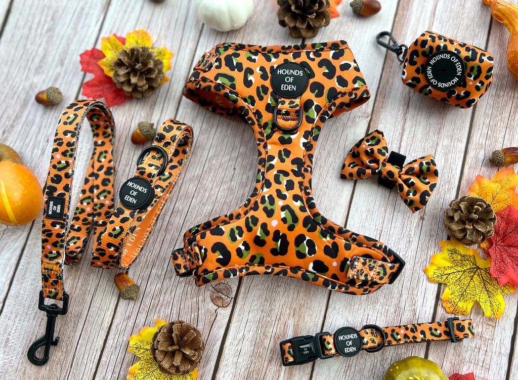 Burnt Orange Leopard Dog Harness with Extended Fit