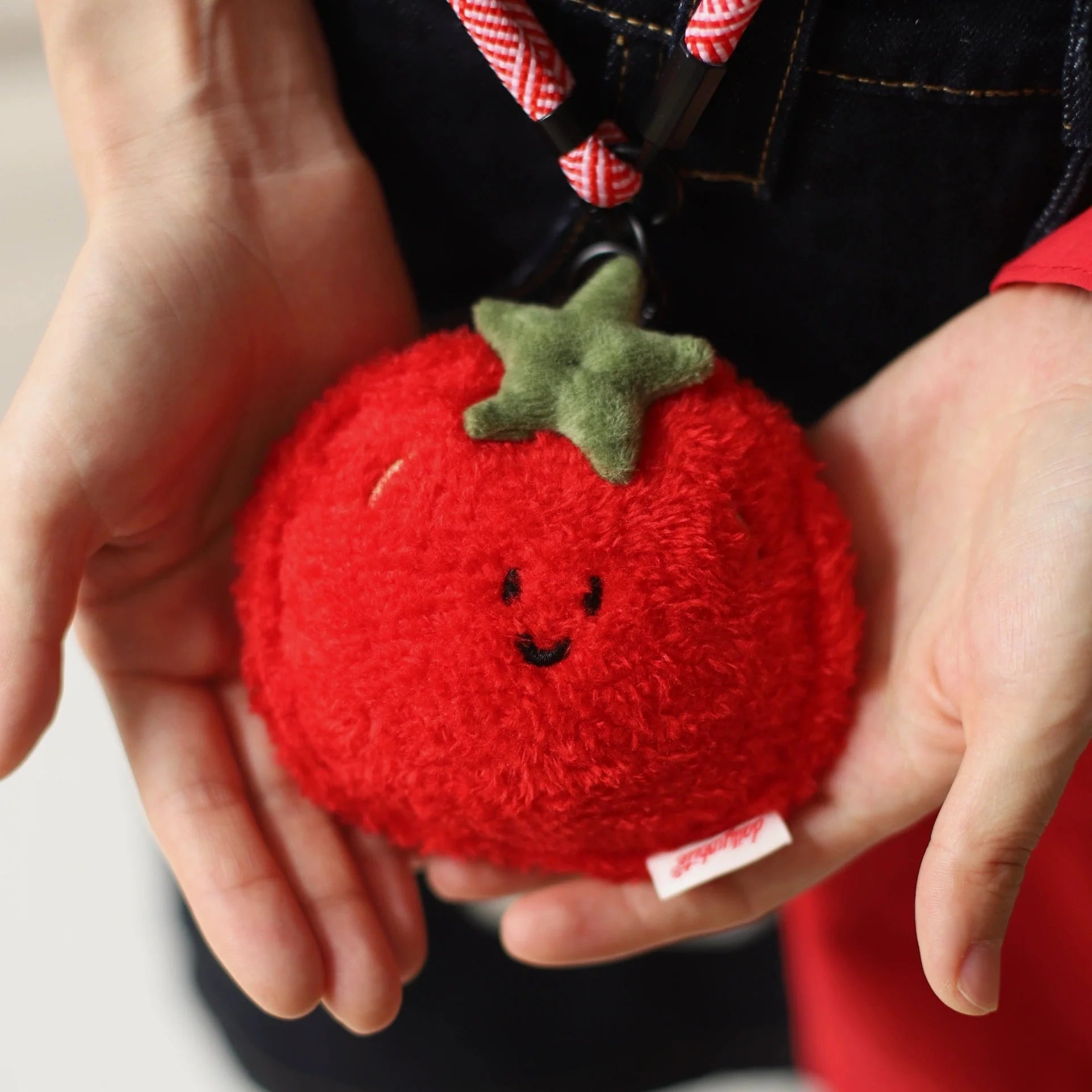 Tomato Mini Bag in Soft Plush Red