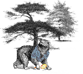 Vintage engraving illustration of animals under a tree — Sostter ethical brands supporting people and planet