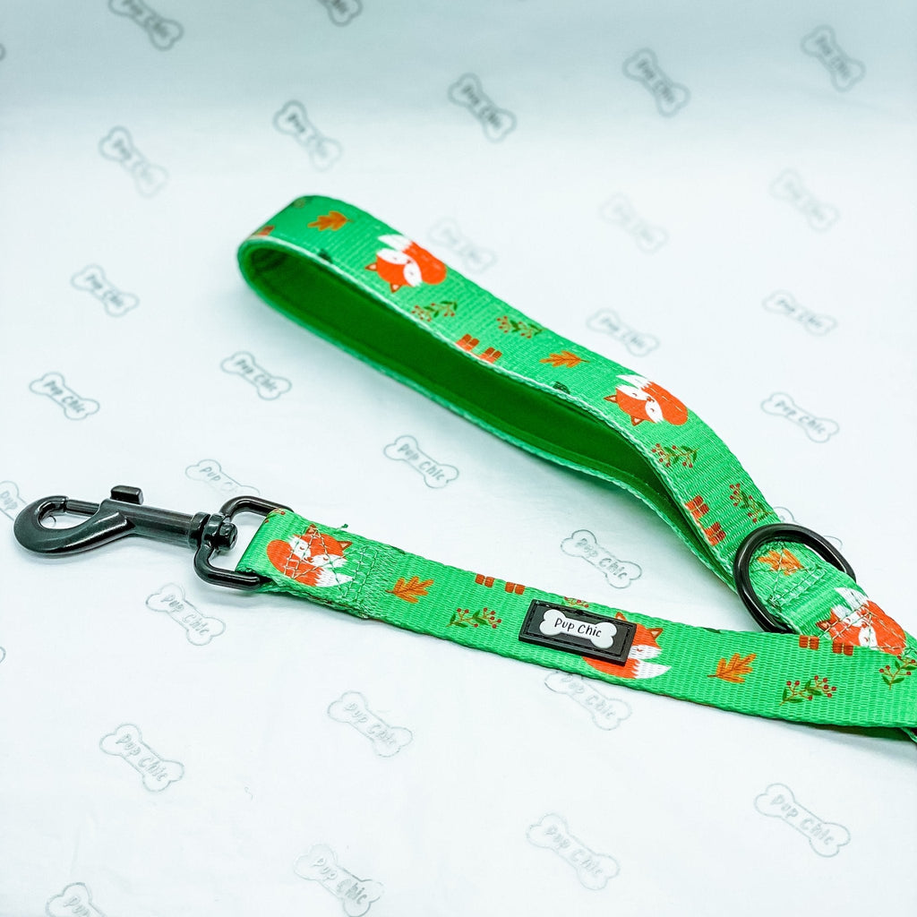 5ft Dog Lead with Padded Handle