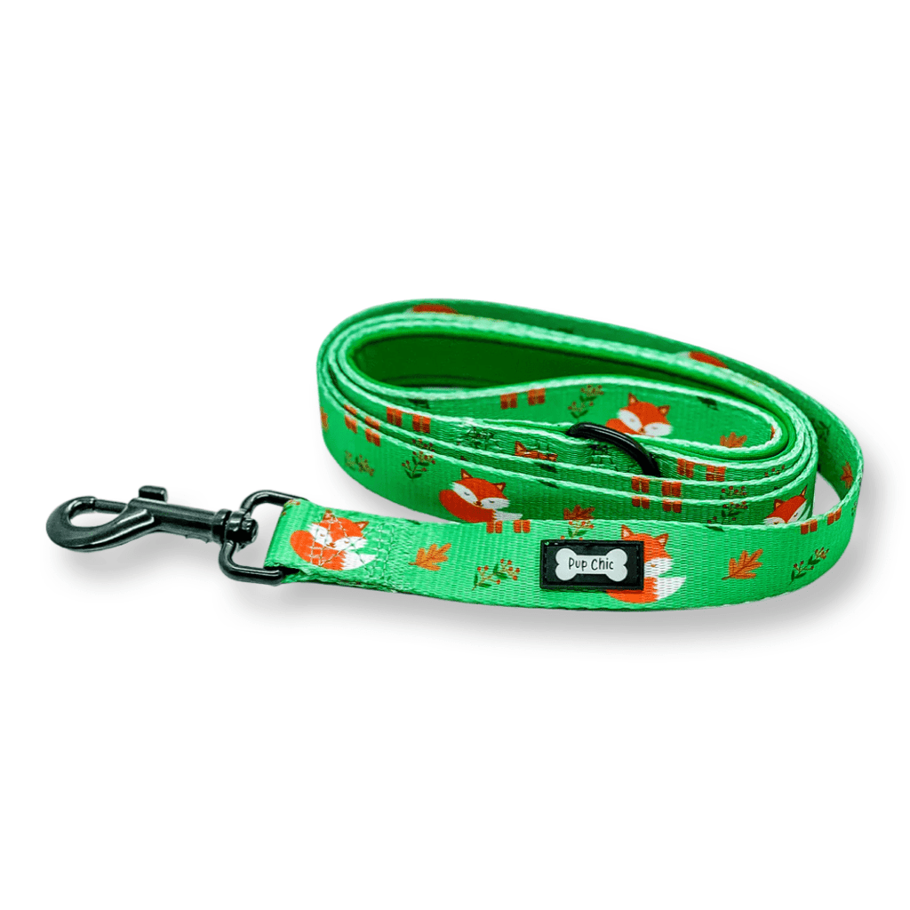 5ft Dog Lead with Padded Handle