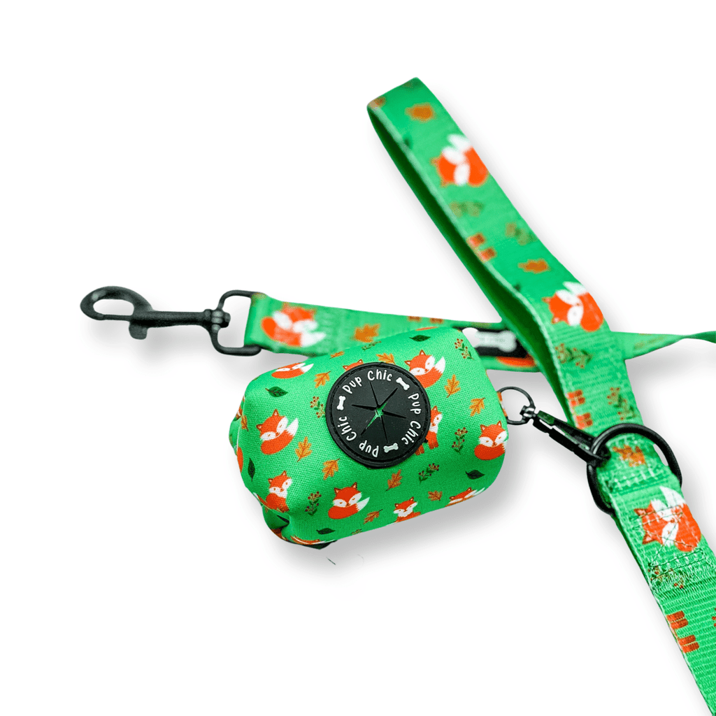 5ft Dog Lead with Padded Handle