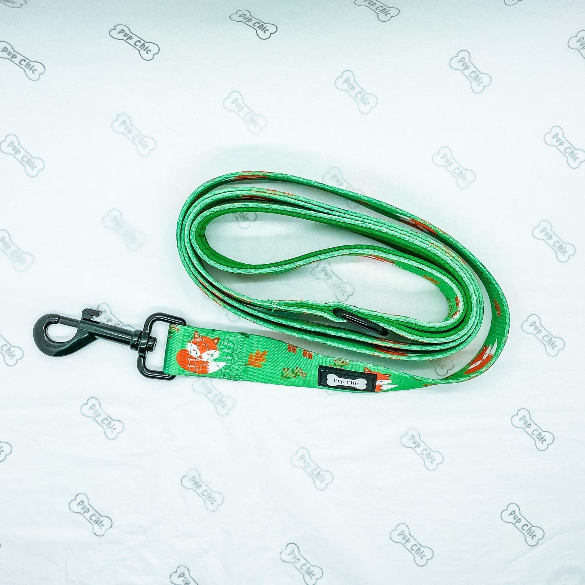 5ft Dog Lead with Padded Handle