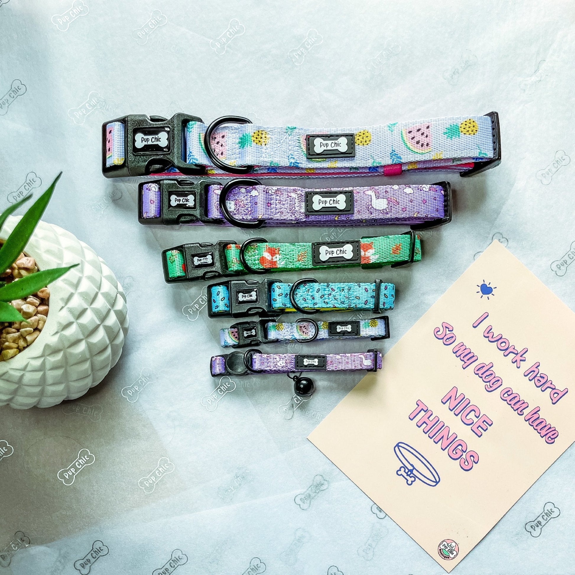 Inquisitive Fox Collar for Dogs