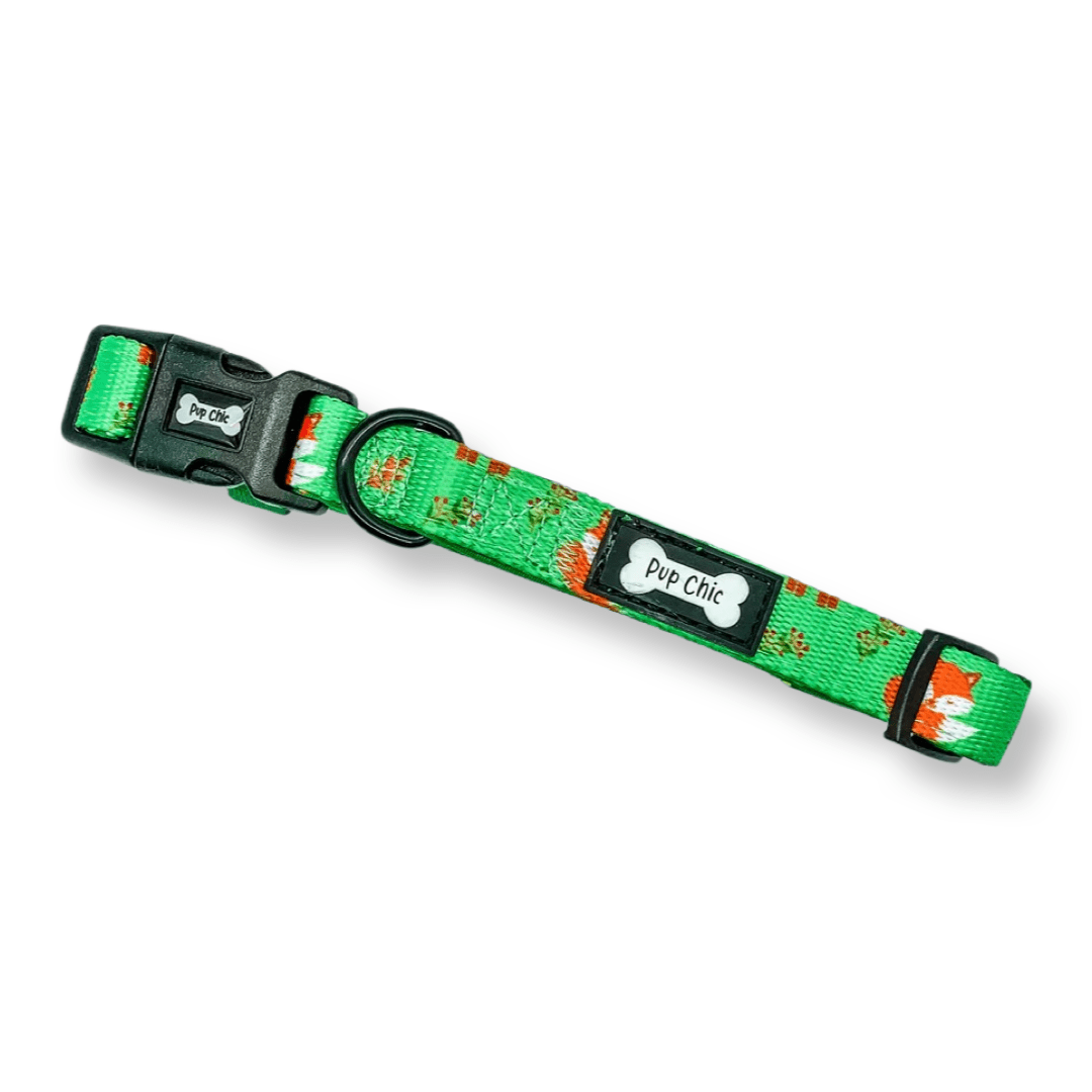 Inquisitive Fox Collar for Dogs