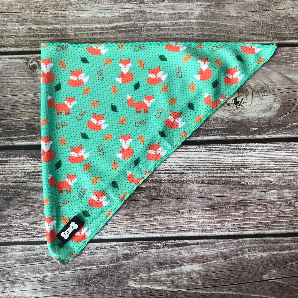 Cooling Bandana for Dogs