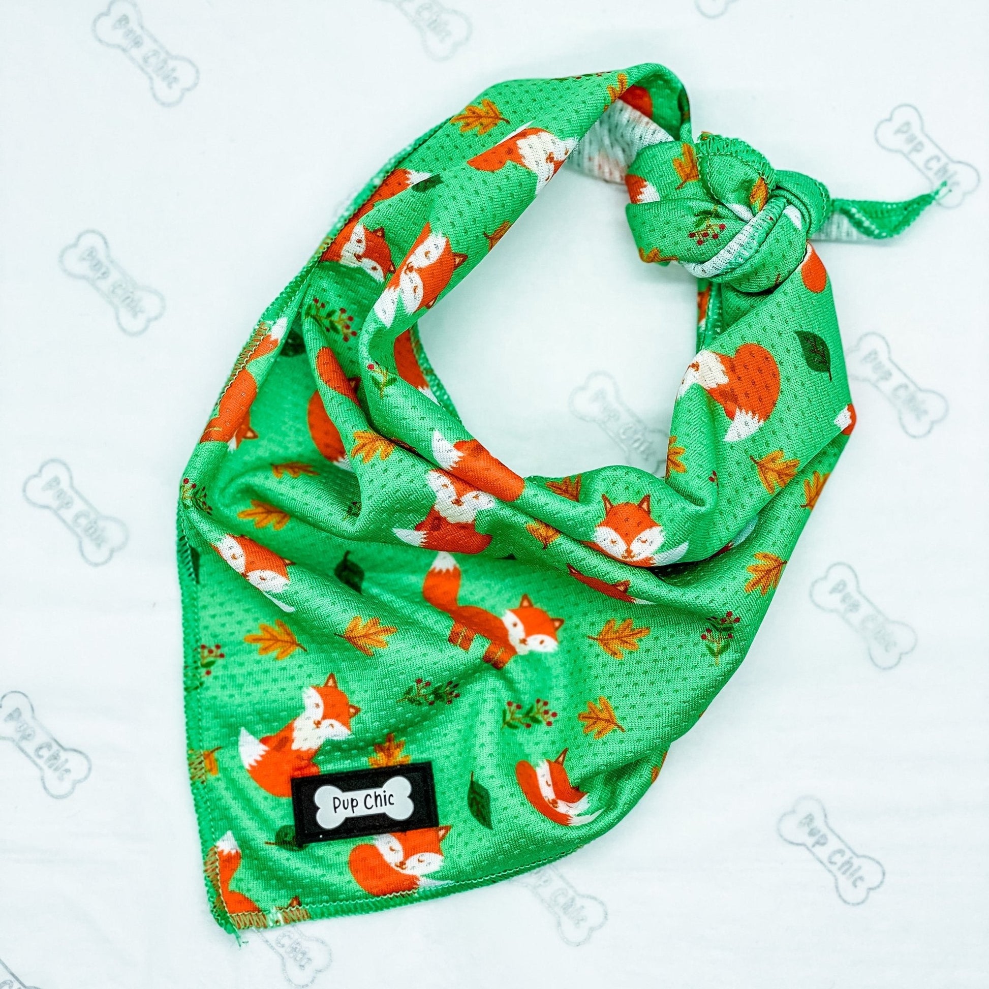 Cooling Bandana for Dogs