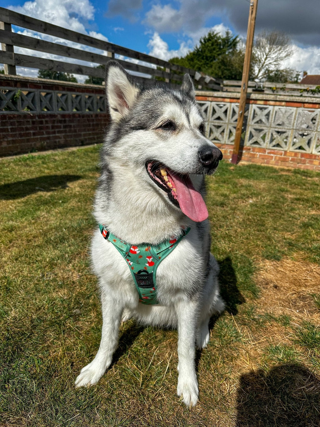 Tactical No Pull Dog Harness in Green Fox Print, Adjustable Step-In XS to XL