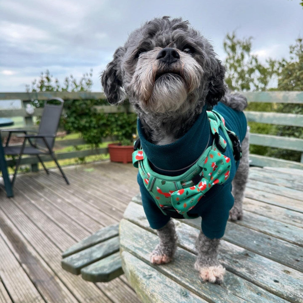 Tactical No Pull Dog Harness in Green Fox Print, Adjustable Step-In XS to XL