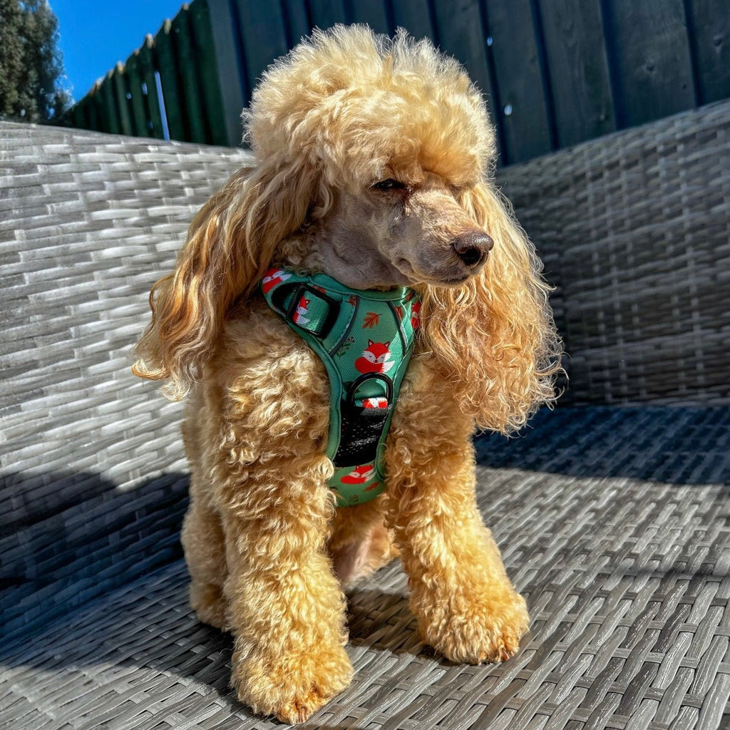 Tactical No Pull Dog Harness in Green Fox Print, Adjustable Step-In XS to XL