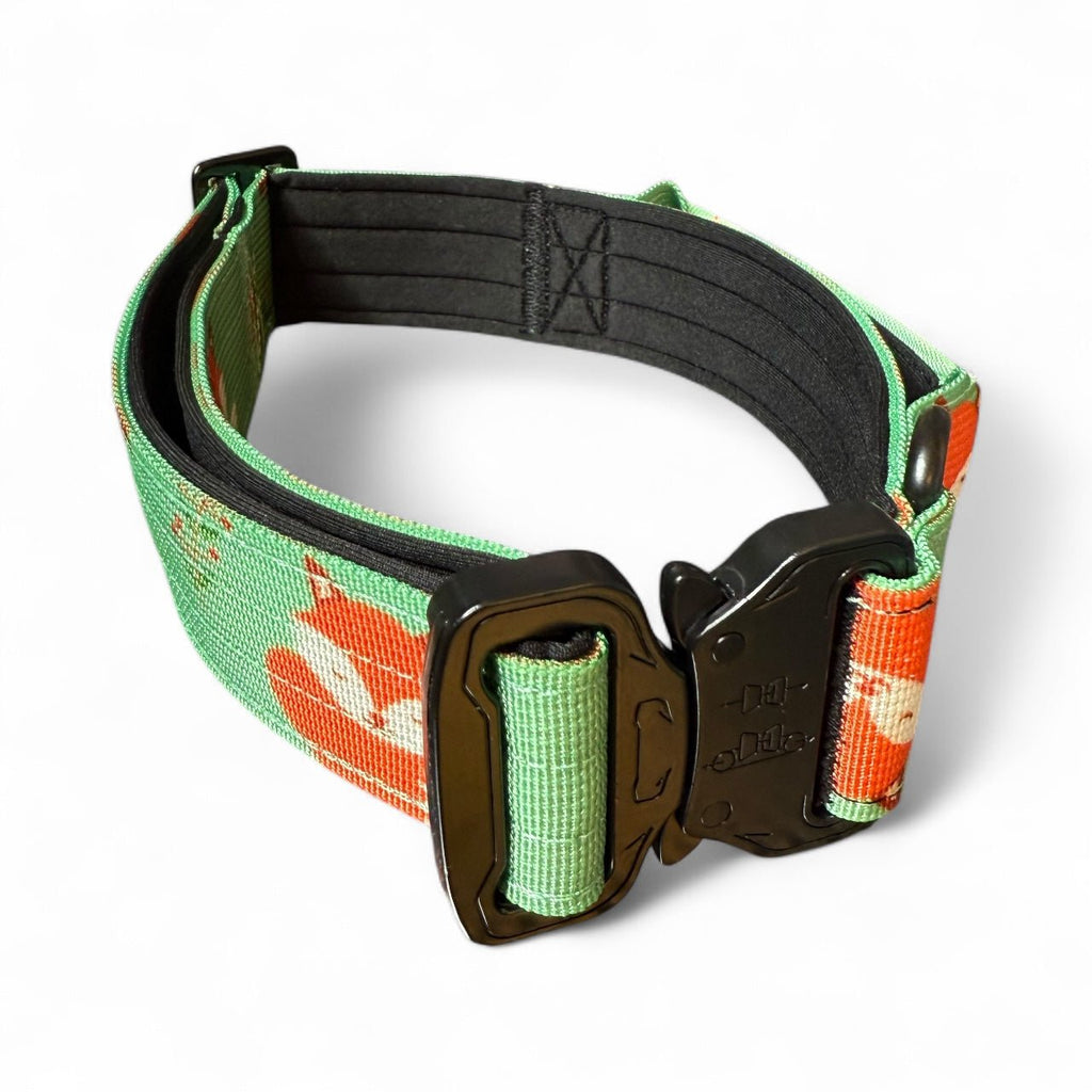 Inquisitive Fox Collar for Dogs