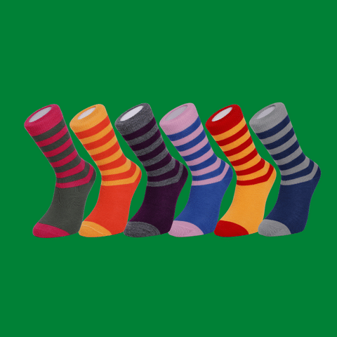 Bright Everyday Merino Socks 6 Pair Bundle