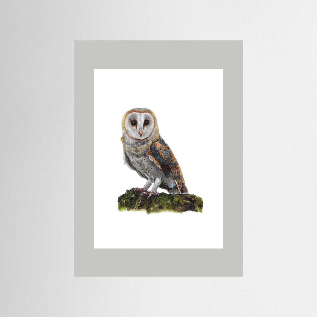 Barn Owl Art Print Wildlife Wall Art for Nature Lovers