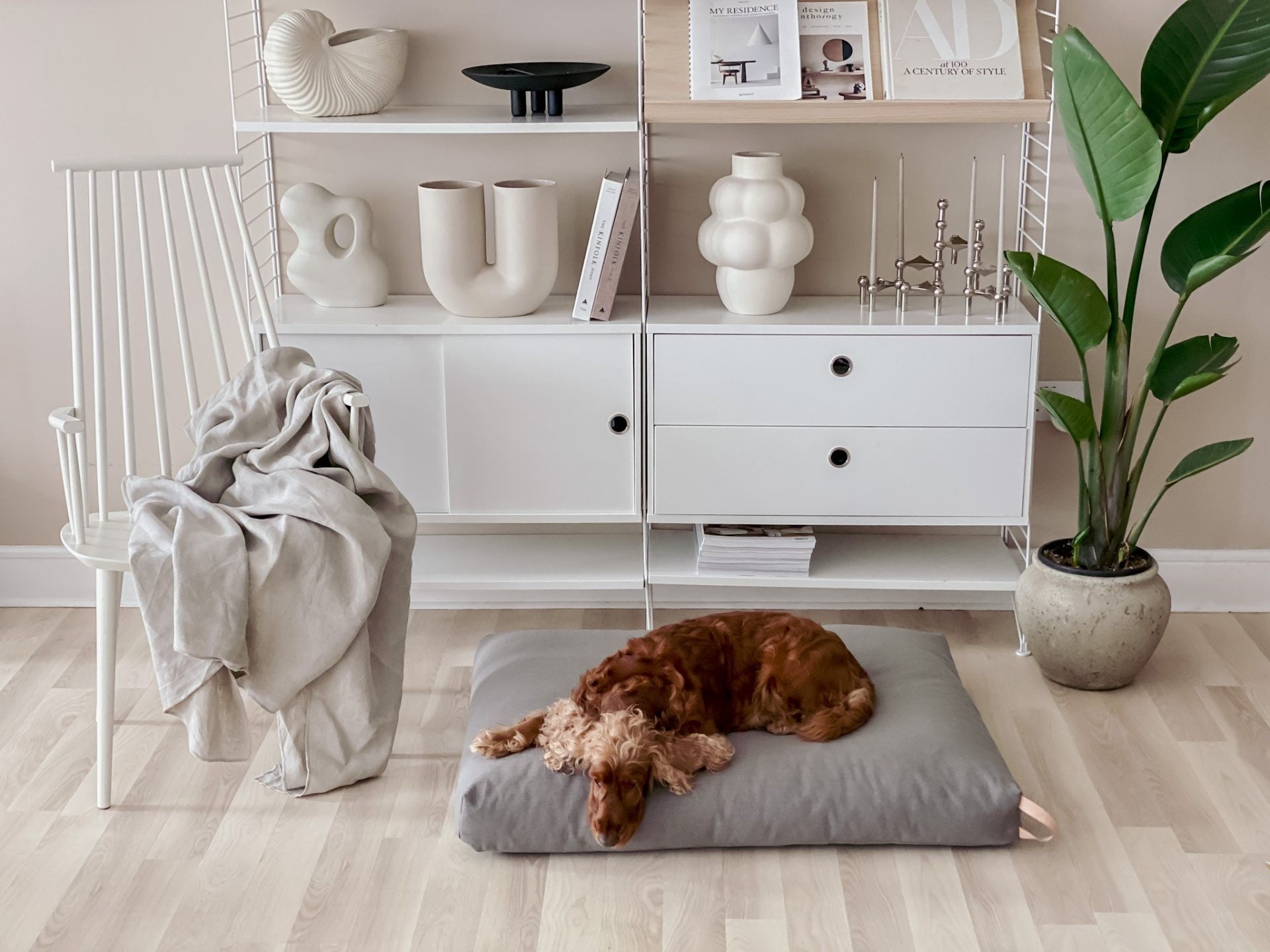 dark grey kiima dog cushion with leather handle in a bold, modern living room setting