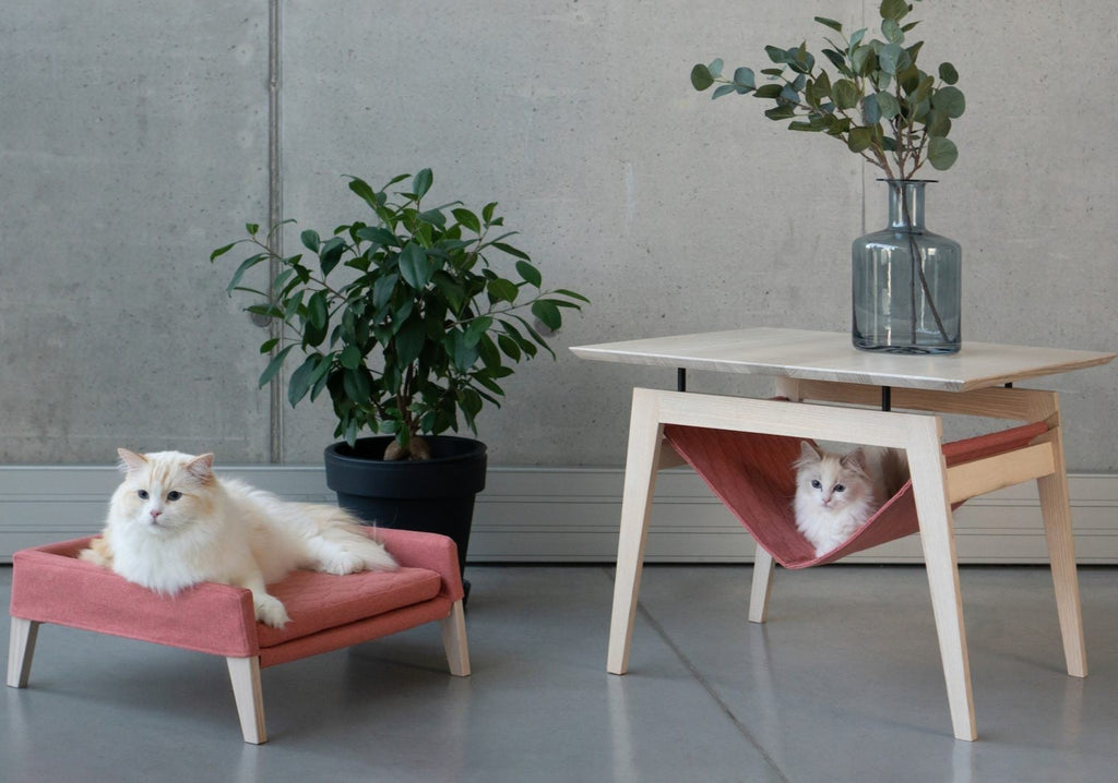 bold raspberry cat bed and table set in dramatic studio lighting