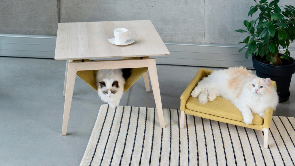 elegant honey-finished ash wood cat table and bed set in a refined home setting