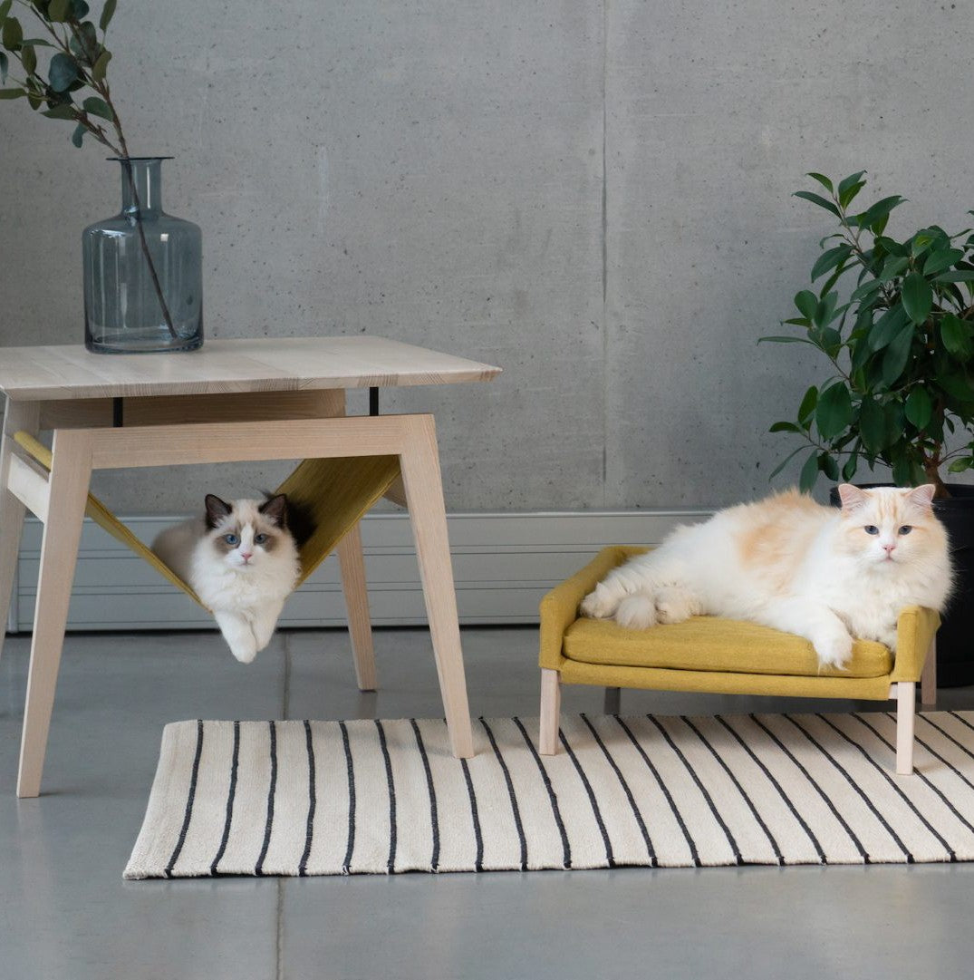bold honey-finished cat table and bed set in dramatic studio lighting