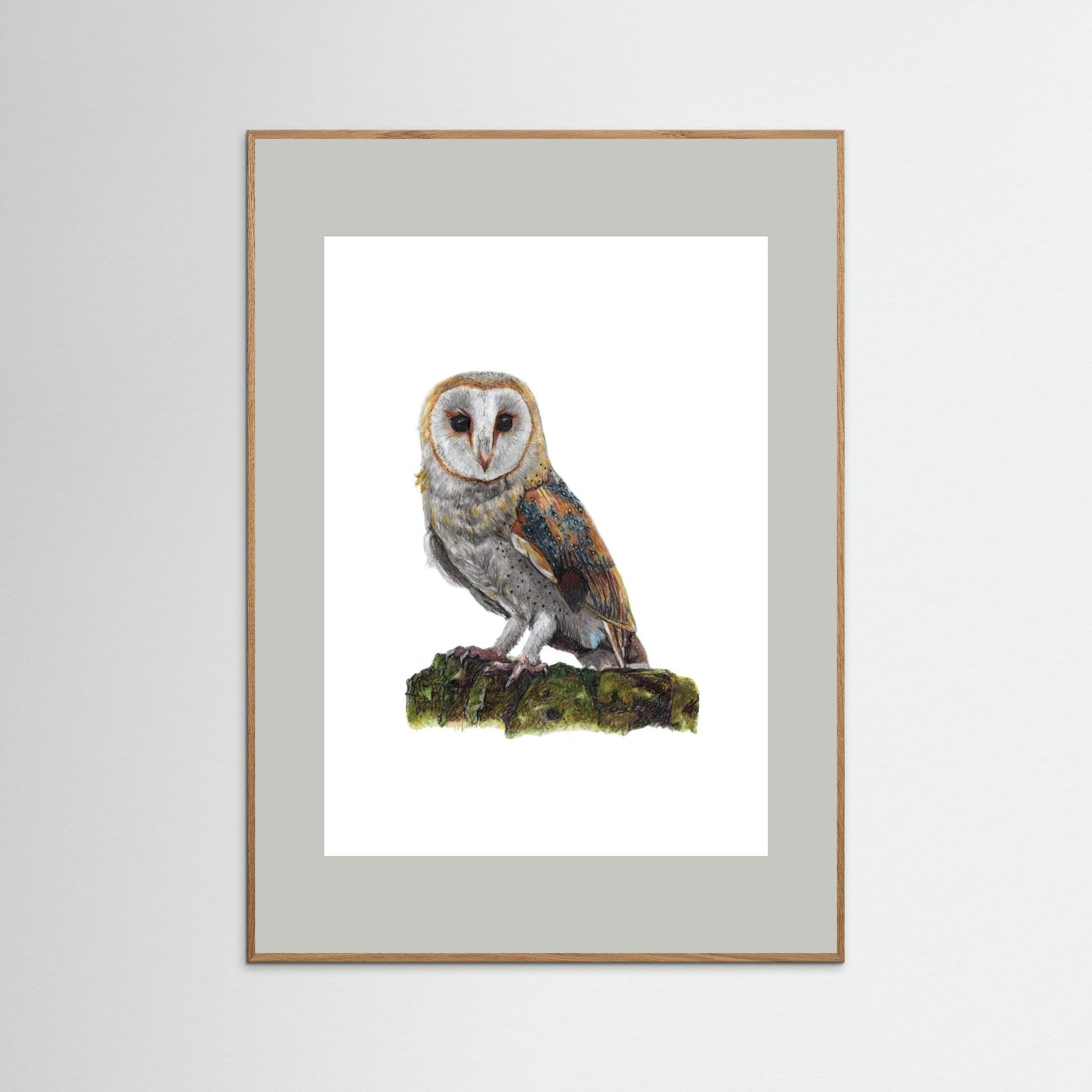 Barn Owl Art Print Wildlife Wall Art for Nature Lovers
