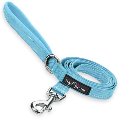 Reflective Baby Blue Webbing Lead 15mm for Small Dogs
