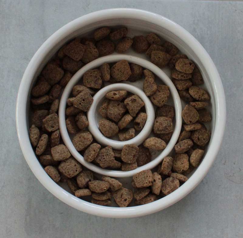 Large Dog Bowls