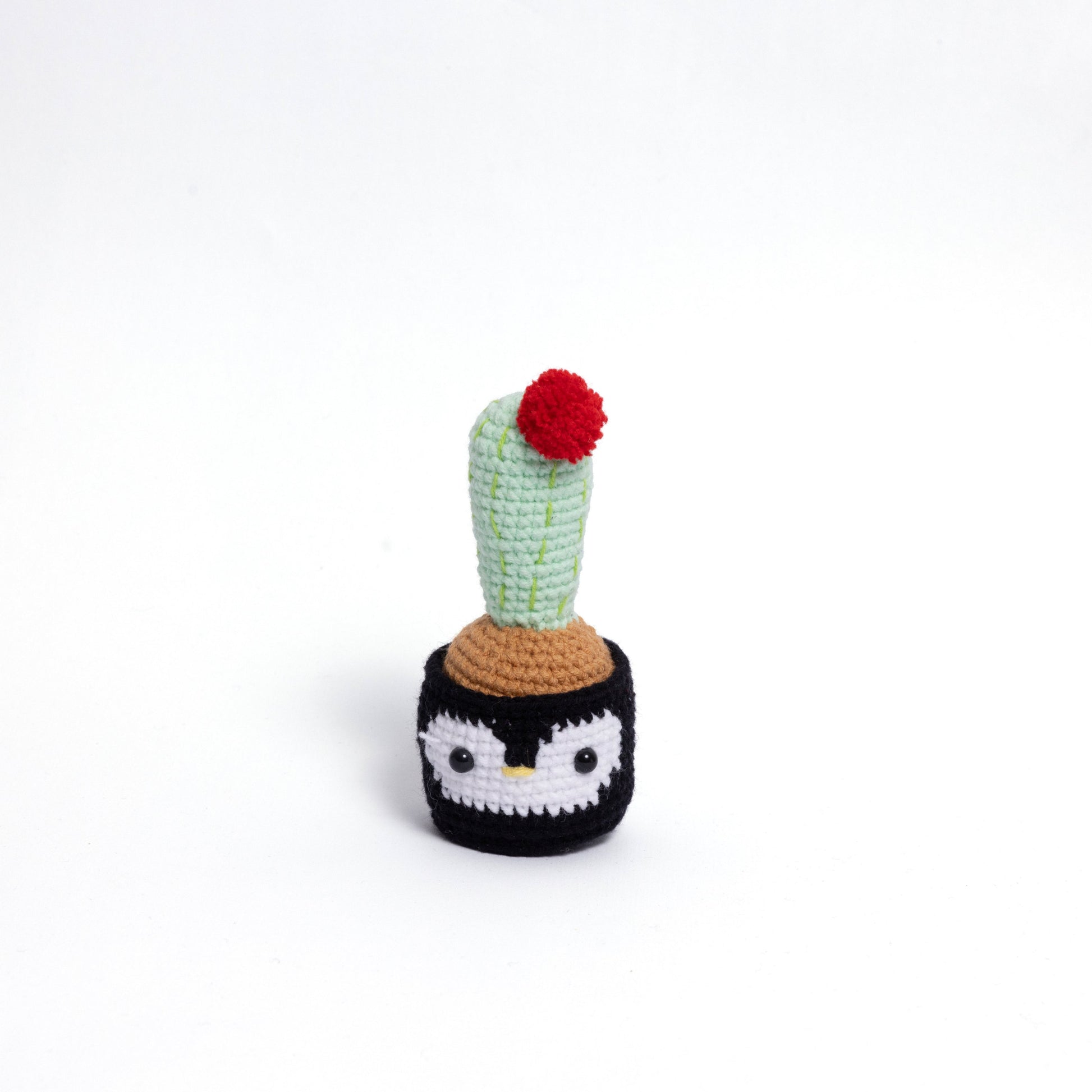 Handmade Crochet Cactus Family Collection Five New Friends